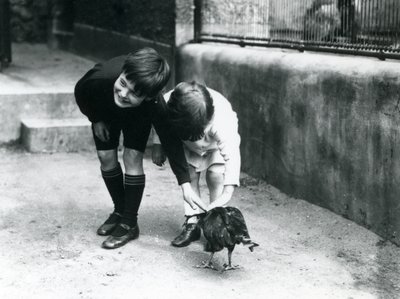 Two Young Visitors Meet a Tame Striated Caracara at London Zoo, June 1914 by Frederick William Bond